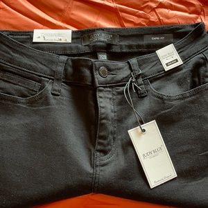 Judy Blue Black capris